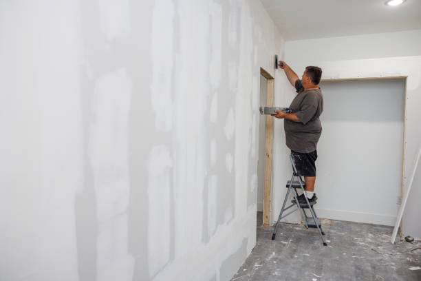 Frederick, MD Mold Removal Company