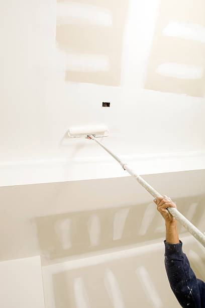 Best Environmental Consulting for Mold Prevention  in Frederick, MD