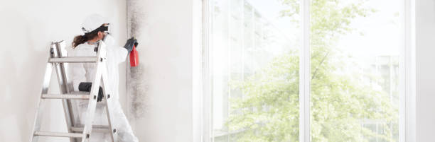 Best Forensic Mold Investigation  in Frederick, MD