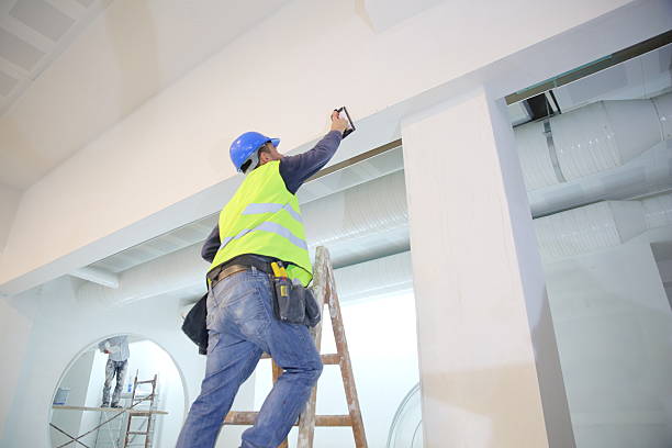 Forensic Mold Investigation in Frederick, MD