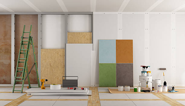 Best Attic Mold Removal  in Frederick, MD