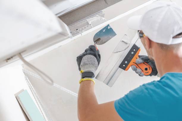  Frederick, MD Mold Removal Pros